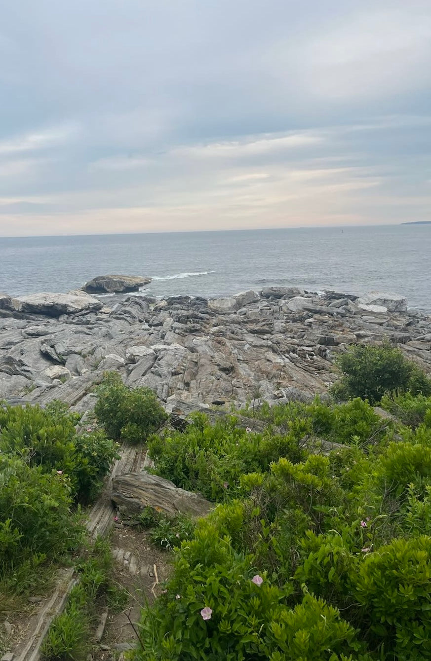 Rocks and greenery near a body of water under a cloudy sky